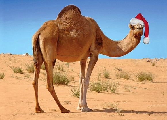 Christmas in Morocco and New Year celebration