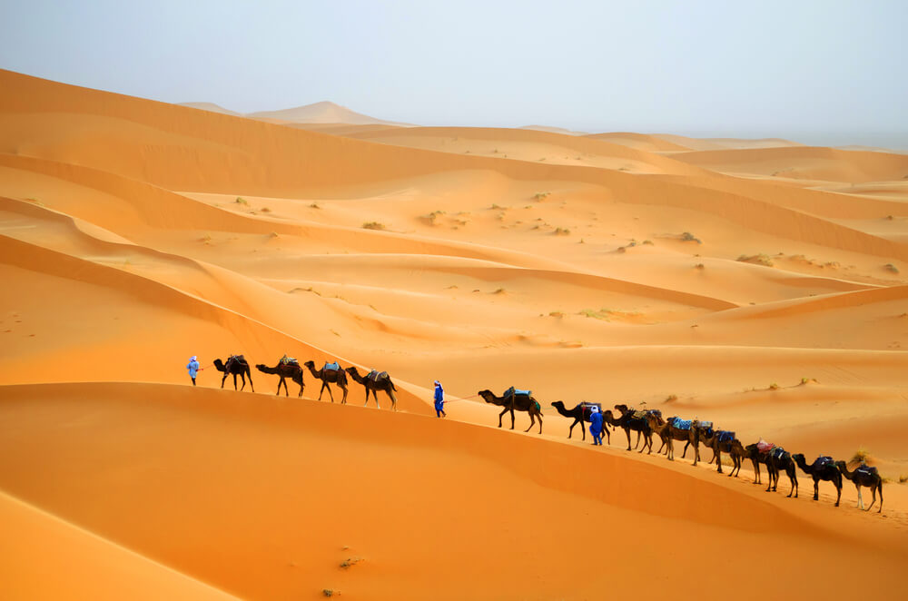 Desert of Morocco