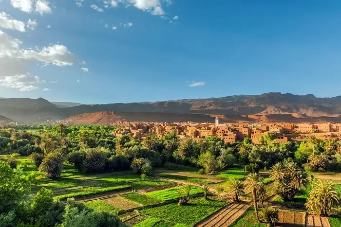 Agricultural fields with village and mountainous background Agricultural fields and palm trees with a cluster of buildings and rocky hills under a blue sky.