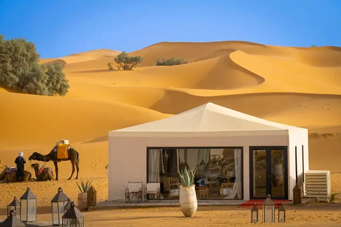 Desert Tent Camp with Camels and Dunes Modern white tent with glass doors and lanterns in desert with camels and sand dunes.