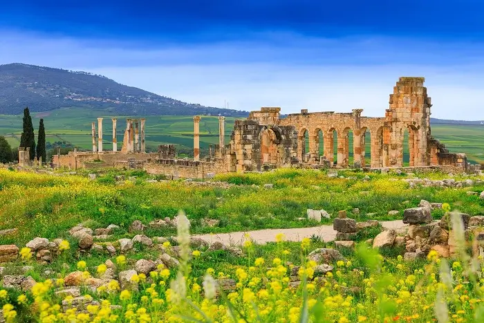 The ancient Roman ruins of Volubilis, a historical landmark on this 5 days Morocco itinerary from Casablanca.