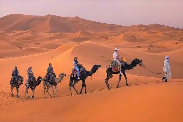 Camel trekking in the Sahara Desert of Merzouga on a 12 day tour from Casablanca