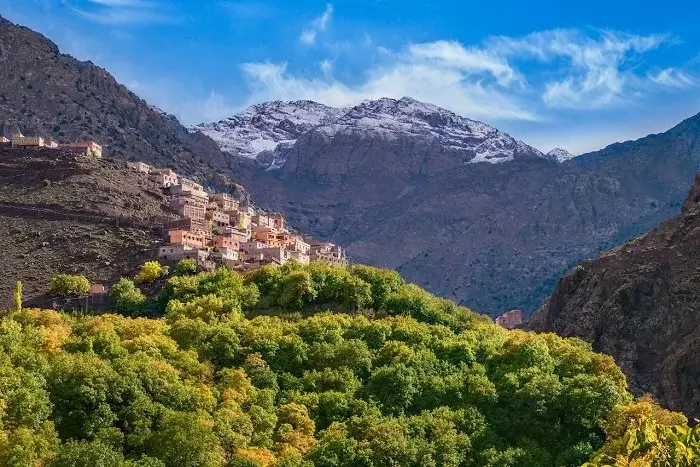 A traditional Berber village perched on a hillside surrounded by lush green trees with the snow capped High Atlas Mountains near Imlil on a 14 days in Morocco private tour