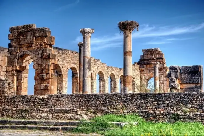 Roman ruins and ancient columns of Volubilis on a 15 Days in Morocco itinerary