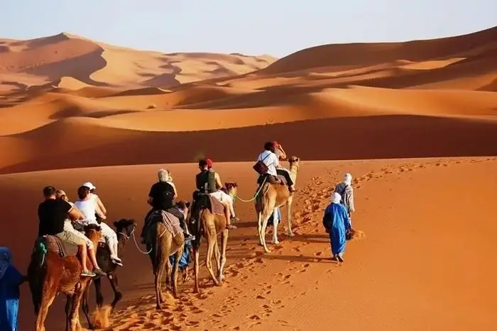 A group of tourists riding camels across the stunning Erg Chebbi Sahara Desert dunes near Merzouga on a 2 weeks in Morocco itinerary