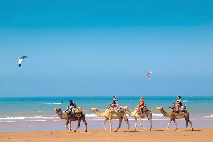 Tourists riding camels along the sandy beach of Essaouira with kite surfers in the sky on a Morocco in 2 weeks tour