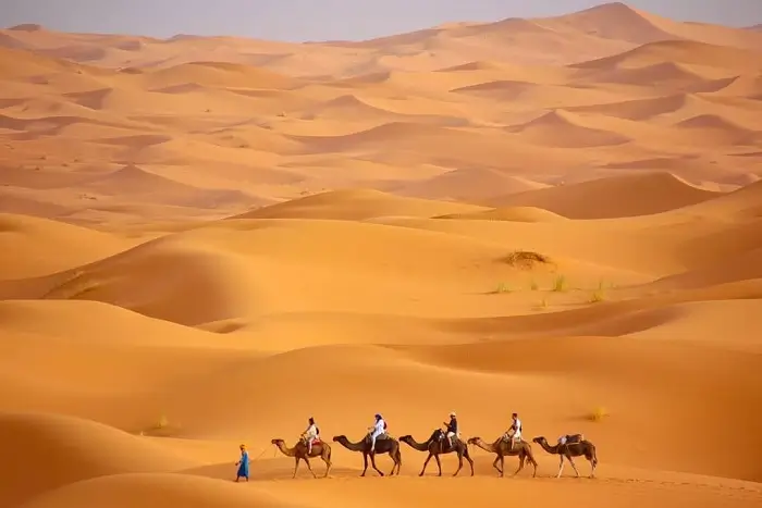 Camel trek across the Erg Chebbi dunes in Merzouga during an 8 days in Morocco itinerary