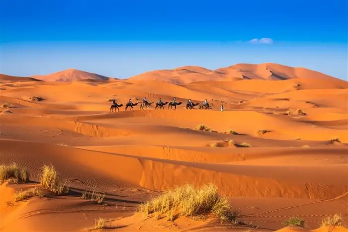 Camel ride across the Erg Chebbi dunes in Merzouga during a Morocco 9 day itinerary