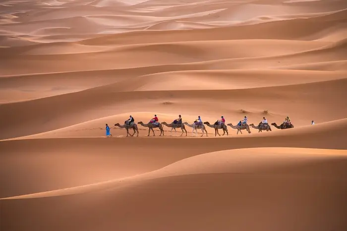 Camel trekking across Erg Chebbi dunes in the Sahara Desert of Merzouga on a 12 day Morocco itinerary